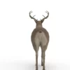 Deer 3D Model Free Download 3D Model Creature Guard 23