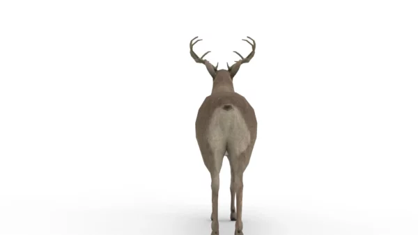 Deer 3D Model Free Download 3D Model Creature Guard 9