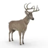 Deer 3D Model Free Download 3D Model Creature Guard 18