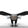 Eagle 3D Model Free Download 3D Model Creature Guard 14