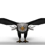 Eagle 3d model_(2)