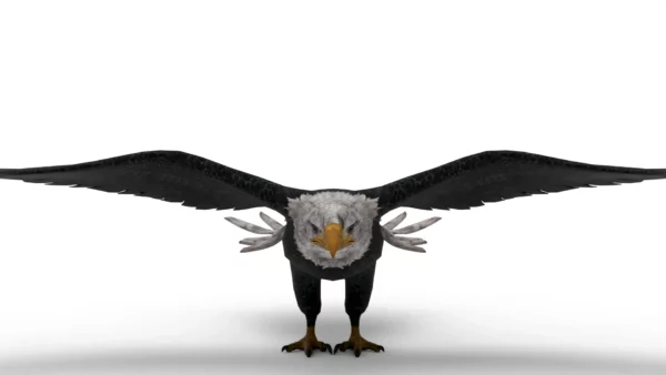 Eagle 3D Model Free Download 3D Model Creature Guard 4