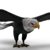 Eagle 3D Model Free Download 3D Model Creature Guard 17