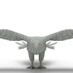 Eagle 3d model_(9)