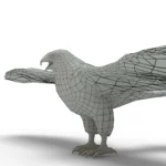 Hawk 3d model_(10)