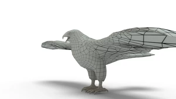 Hawk 3D Model Free Download 3D Model Creature Guard 9