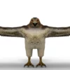 Hawk 3D Model Free Download 3D Model Creature Guard 14