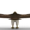 Hawk 3D Model Free Download 3D Model Creature Guard 16