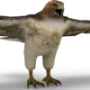 Hawk 3D Model Free Download 3D Model Creature Guard 17