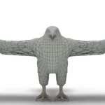 Hawk 3d model_(9)