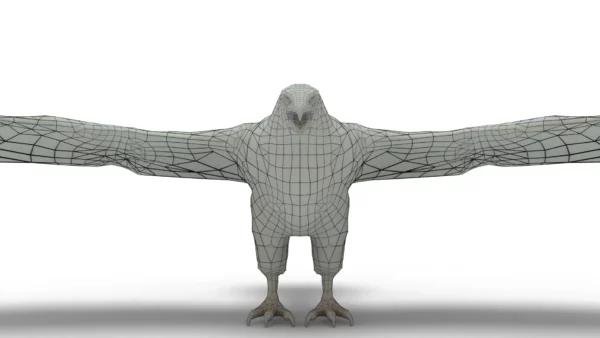 Hawk 3D Model Free Download 3D Model Creature Guard 10