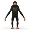 Chimpanzee 3D Model Free Download 3D Model Creature Guard 14