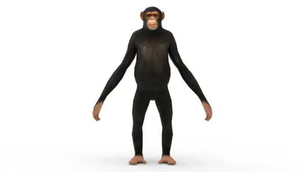Chimpanzee 3D Model Free Download 3D Model Creature Guard 4