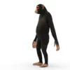 Chimpanzee 3D Model Free Download 3D Model Creature Guard 13