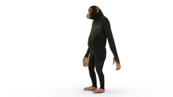 Chimpanzee 3D Model Free Download 3D Model Creature Guard 3