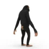 Chimpanzee 3D Model Free Download 3D Model Creature Guard 16