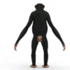Chimpanzee 3D Model Free Download 3D Model Creature Guard 15