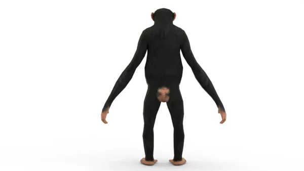 Chimpanzee 3D Model Free Download 3D Model Creature Guard 5