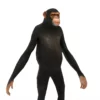 Chimpanzee 3D Model Free Download 3D Model Creature Guard 17