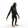 Chimpanzee 3D Model Free Download 3D Model Creature Guard 11