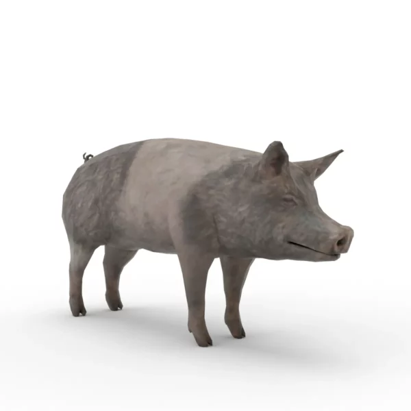 Pig Pack 3D Model Free Download 3D Model Creature Guard 4