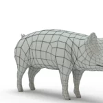 Pig 3d model_(13)