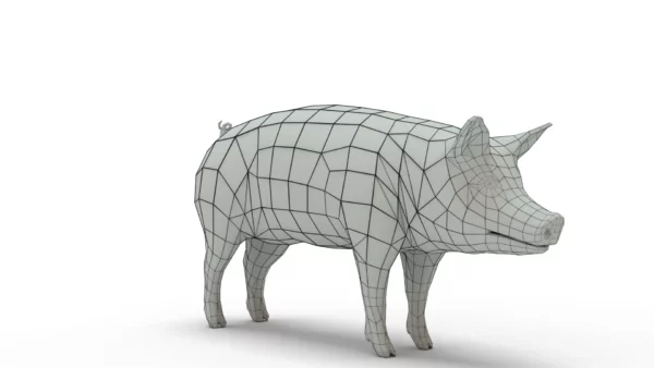 Pig Pack 3D Model Free Download 3D Model Creature Guard 14
