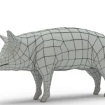 Pig 3d model_(15)