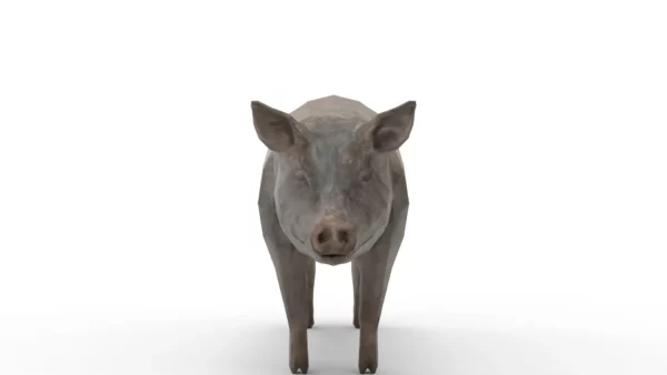 Pig Pack 3D Model Free Download 3D Model Creature Guard 13