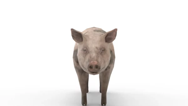 Pig Pack 3D Model Free Download 3D Model Creature Guard 10