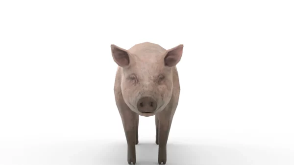 Pig Pack 3D Model Free Download 3D Model Creature Guard 7