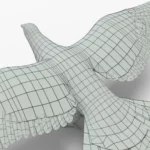 Pigeon 3D Model_(10)