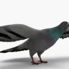 Pigeon 3D Model Free Download 3D Model Creature Guard 12