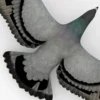 Pigeon 3D Model Free Download 3D Model Creature Guard 16