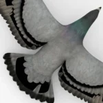 Pigeon 3D Model_(4)