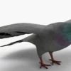 Pigeon 3D Model Free Download 3D Model Creature Guard 14