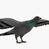 Pigeon 3D Model Free Download 3D Model Creature Guard 11
