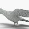 Pigeon 3D Model Free Download 3D Model Creature Guard 19