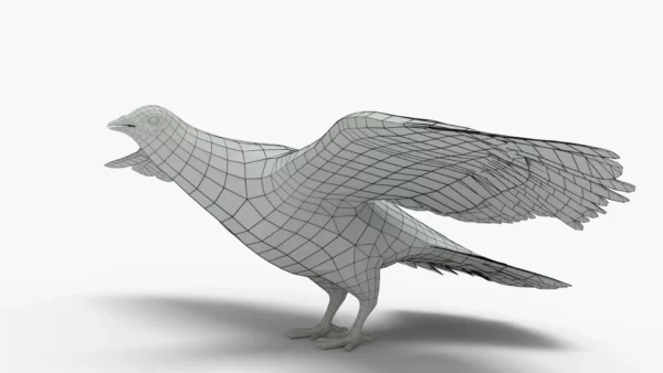 Pigeon 3D Model Free Download 3D Model Creature Guard 9
