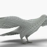 Pigeon 3D Model_(9)