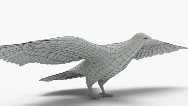 Pigeon 3D Model Free Download 3D Model Creature Guard 8