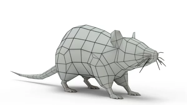 Brown Rat 3D Model Free Download 3D Model Creature Guard 8