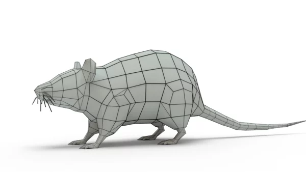 Brown Rat 3D Model Free Download 3D Model Creature Guard 9