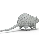 Rat 3d model_(18)