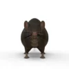 Brown Rat 3D Model Free Download 3D Model Creature Guard 15