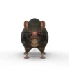 Rat 3D Model Free Download 3D Model Creature Guard 16