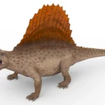 Realistic Dimetrodon 3d model_(5)