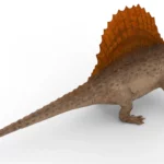 Realistic Dimetrodon 3d model_(6)