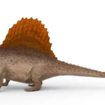 Realistic Dimetrodon 3d model_(7)