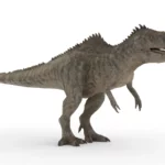 Realistic Giganotosaurus 3d model_(1)